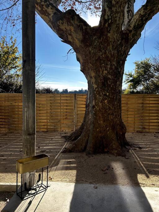 Superbe Appartement Dans Un Mas Nîmes Esterno foto