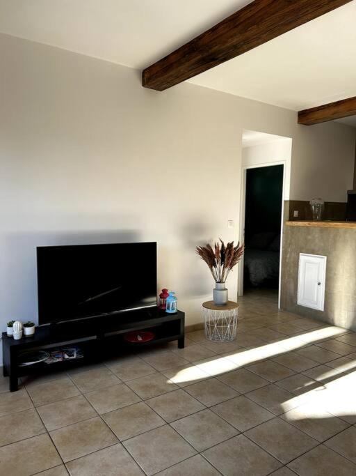 Superbe Appartement Dans Un Mas Nîmes Esterno foto